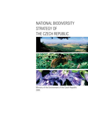 B - Convention on Biological Diversity