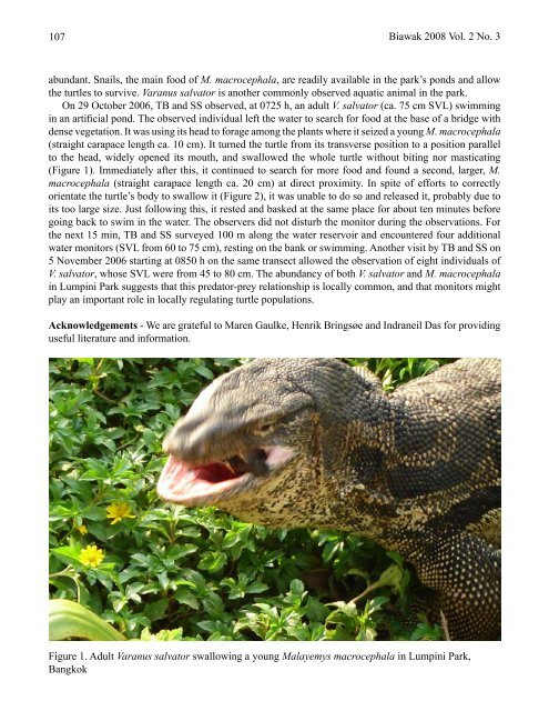 Volume 2 Number 3 - International Varanid Interest Group