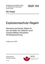 BGR 104 Explosionsschutz-Regeln - Sammlung technischer Regeln ...
