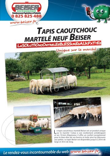 tapis caoutchouc marteLÃ© neuf Beiser