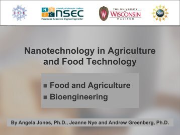 Nanotechnology in Agriculture and Food Technology - Institute for ...