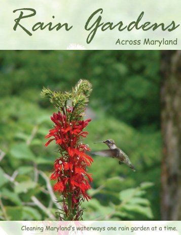 Rain Gardens Across Maryland - The Coastal Bays Program