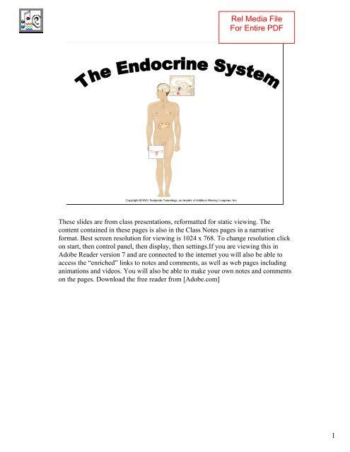 Endocrine System Pdf Classvideos Net