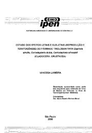 Texto completo - Ipen