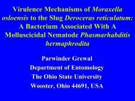 Virulence Mechanisms of Moraxella osloensis to ... - COST Action 850