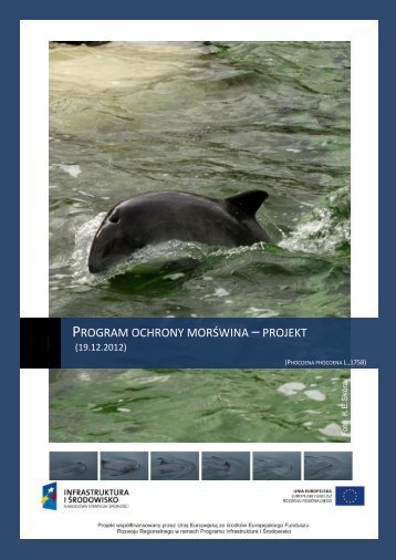 Program ochrony morświna - WWF