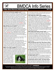 Frequently Asked Questions - Bernese Mountain Dog Club of America