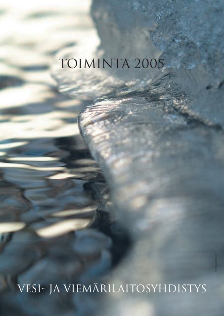 VVY toiminta 2005