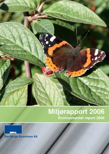 MiljÃ¸rapport 06 - SÃ¸r-Norge Aluminium AS