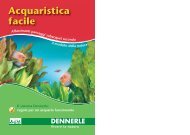 Acquaristica facile (PDF, ca. 4,94 MB) - Dennerle