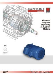 General Purpose Slip-Ring Induction Motors ... - Cantoni Group