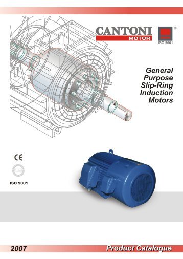 General Purpose Slip-Ring Induction Motors ... - Cantoni Group