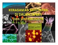 KERAGAMAN KEHIDUPAN di dalam tanah (Minggu II)_pptx