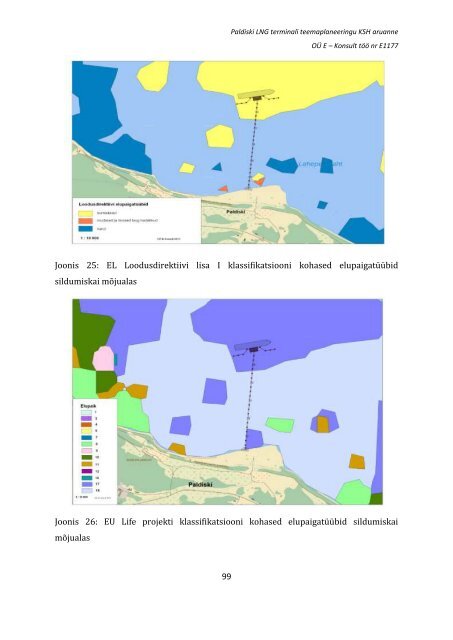 Paldiski LNG terminali teemaplaneeringu keskkonnamõju ...