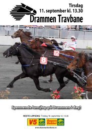 1 - Drammen Travbane