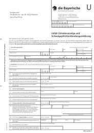 S61401 - Unfall-Schadenanzeige - die Bayerische