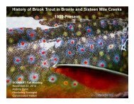 History of Brook Trout in Bronte and Sixteen Mile Creeks 1950-Present