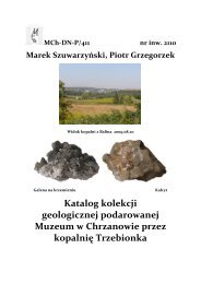 Kolekcja geologiczna - czÄÅÄ 1 - Muzeum im. Ireny i MieczysÅawa ...