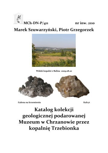 Kolekcja geologiczna - czÄÅÄ 1 - Muzeum im. Ireny i MieczysÅawa ...