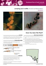 Fact sheet 2, Jumping-jack Wattle - Eyre Peninsula Natural ...