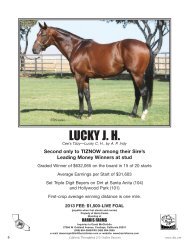 LUCKY J. H. - California Thoroughbred Breeders Association