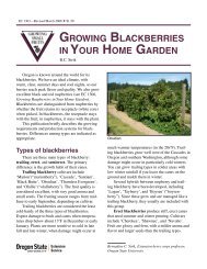 Growing Blackberries in Your Home Garden, EC 1303 (Oregon ...