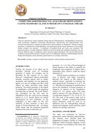 computer-assisted fractal analysis of spontaneous canine mammary