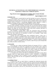 Estudo da autoconfiança em competidores de canoagem