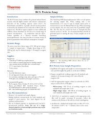 BCA Protein Assay Protocol for the NanoDrop 8000