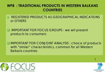 Cliquez ici pour le titre - Focus-Balkans