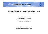 Future Plans of DWD: GME and LME - COSMO model