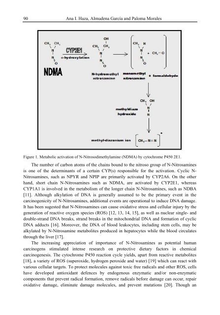 Handbook of Vitamin C Research