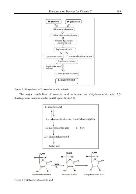 Handbook of Vitamin C Research