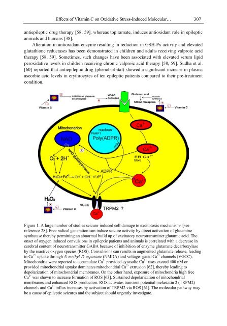 Handbook of Vitamin C Research