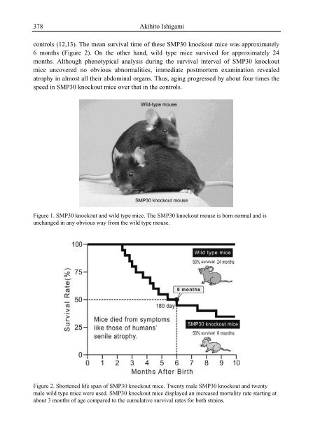 Handbook of Vitamin C Research