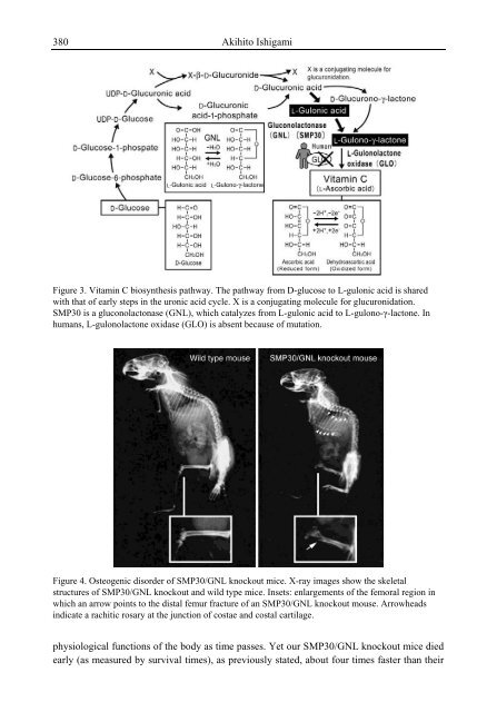 Handbook of Vitamin C Research