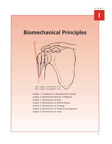 Biomechanical Principles - Univeristy of Oregon Biomechanics