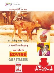 Bovino Calf Starter - Godrej