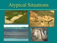 Atypical Situations & Problem Areas