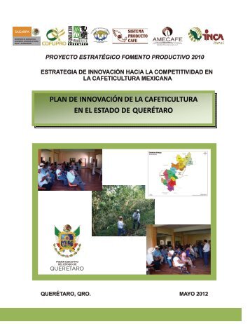 plan de innovación en café - Fundación Produce Querétaro, AC