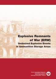 Explosive Remnants of War (ERW): Undesired Explosive Events in ...