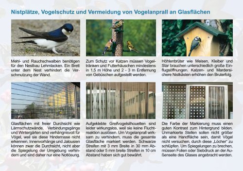 Poster: Wunderbare Vogelwelt