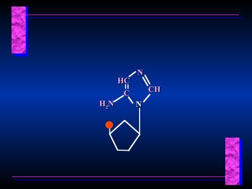 Biosynthesis of Nucleotides Biosynthesis of Nucleotides - Ecu