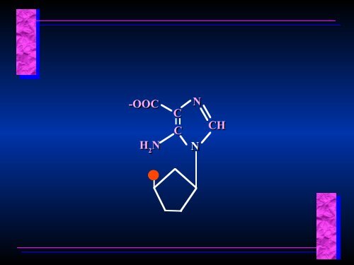 Biosynthesis of Nucleotides Biosynthesis of Nucleotides - Ecu