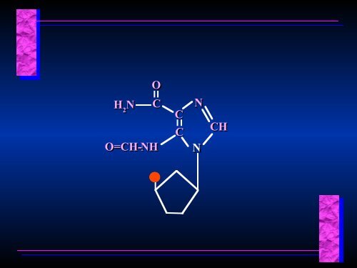 Biosynthesis of Nucleotides Biosynthesis of Nucleotides - Ecu