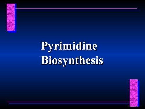 Biosynthesis of Nucleotides Biosynthesis of Nucleotides - Ecu