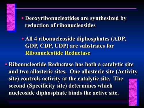 Biosynthesis of Nucleotides Biosynthesis of Nucleotides - Ecu