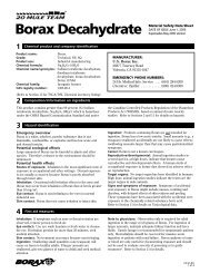 Borax Decahydrate