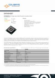 SF2006SN.A / Single axis class B seismic accelerometer