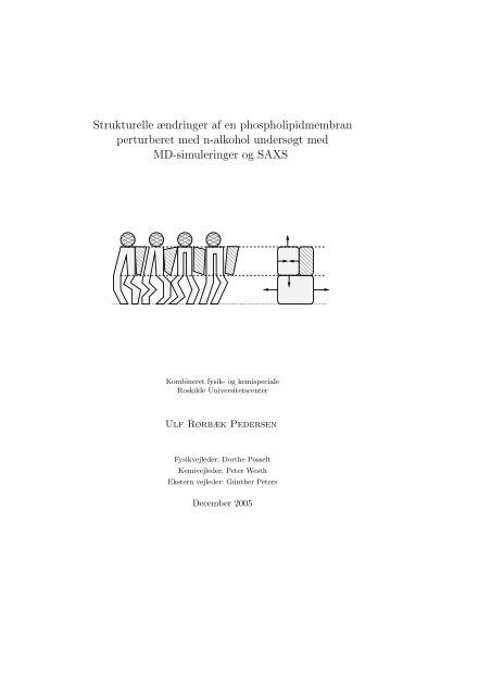 A Figurer og tabeller til Kapitel 3 - dirac - Roskilde Universitet